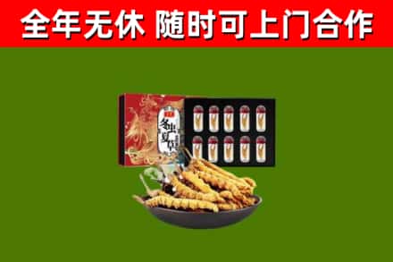 楚雄回收冬虫夏草价格