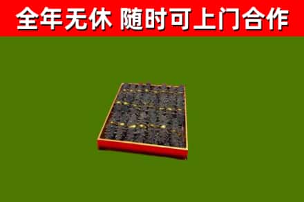 楚雄回收海参